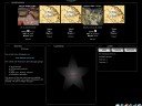 Produkt #196: Enterpage - Addon