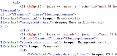 Professionelle Webspell Anpassung