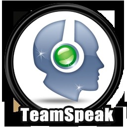 Teamspeak³ Server 50 Slot