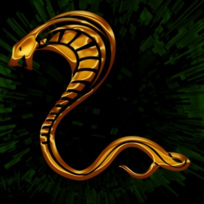 Snake Logo