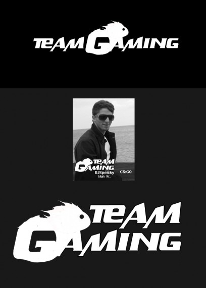 Team Gaming